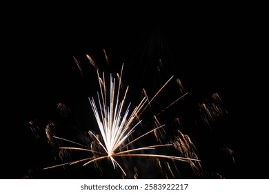Fireworks Exploding on Black Background Celebrate Holidays