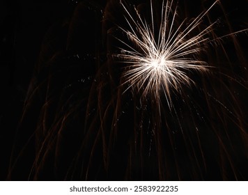 Fireworks Exploding on Black Background Celebrate Holidays