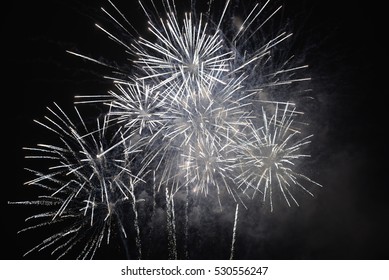 Fireworks in the night sky