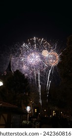 Fireworks Sky Background Walt Disneyworld