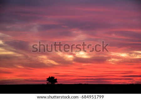 Firey Sunset