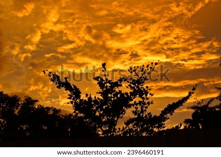 Firey sunset in the evening