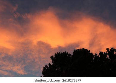 Firey sunset over a tree