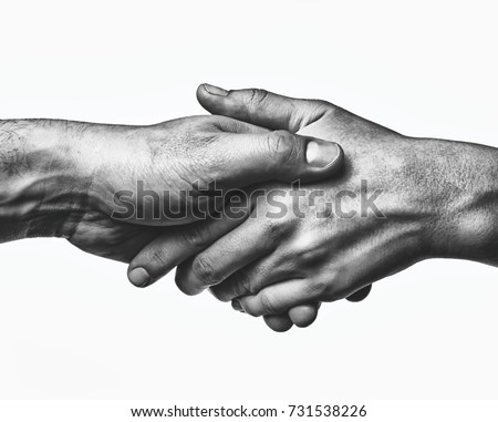 A firm handshake between the two partners. Black and white image on white  background.