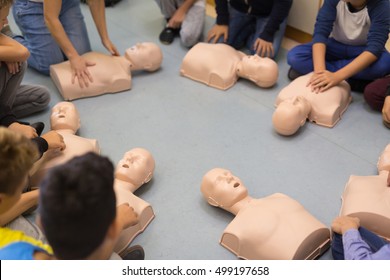 First Aid Cardiopulmonary Resuscitation Course In Primary School. Kids Practicing On Resuscitation Dolls.