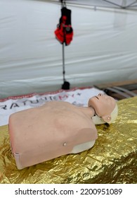 First Aid Training Mannequin - EMERGENCY