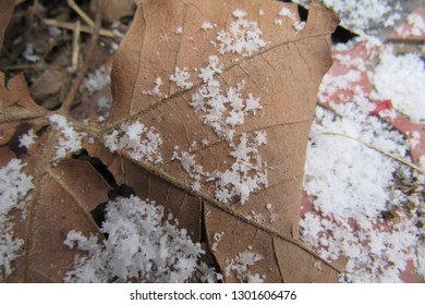 First big snow