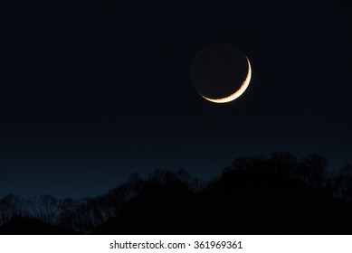 first crescent moon in the wood