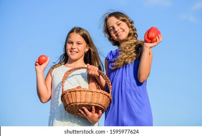 First Experience. Kids On Summer Farm. Organic Food. Small Girls Vegetable In Basket. Only Natural. Harvest Vitamin. Spring Market Garden. Children Farming. Autumn Harvest. Healthy Food Is Happy Life.