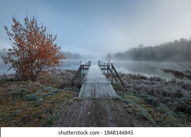 First frost on a forest misty lake with a pier, autumn landscape