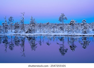 The first frost and the first snow in the northern land of lakes and swamps, a cold November dawn - Powered by Shutterstock