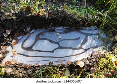 The First Ice. The First Frosts. A Thin Layer Of Ice On A Puddle. Autumn.