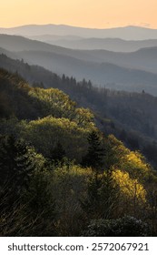 First light hitting mountain slope Oconaluftee valley, Great Smoky Mountains National Park, North Carolina