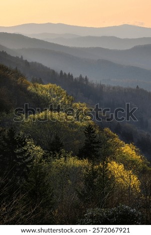 First light hitting mountain slope Oconaluftee valley, Great Smoky Mountains National Park, North Carolina