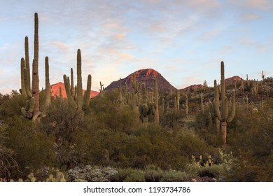 First Light On Desert Mountains Near Phoenix, Arizona