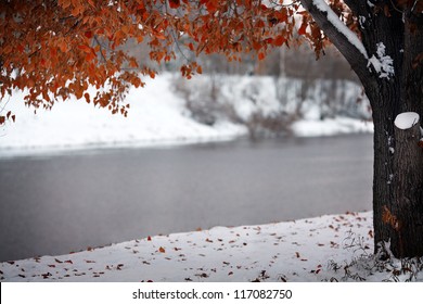 first major snow and yellow leaves in the park