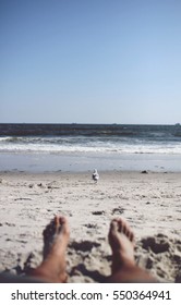 First Person Perspective Of A Man Lying On The Beach, Looking At A Sea Gull I