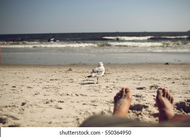 First Person Perspective Of A Man Lying On The Beach, Looking At A Sea Gull I