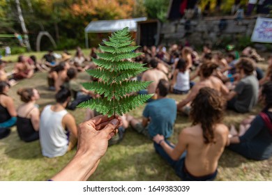 A First Person Perspective With Shallow Depth Of Field Of Hand Holding A Green Fern Leaf. As A Blurry Mixed Group Of People Practice Guided Meditation