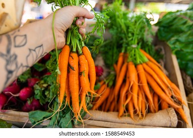 First Person Perspective As A Shopper Buys Locally Produced Organic Carrots At A Market Stall During A Street Fair With Copy Space On The Right