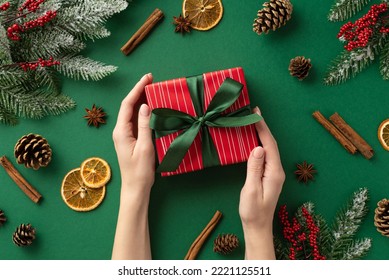 First person top view photo of female hands holding red giftbox over dried orange slices anise cinnamon sticks pine cones mistletoe berries and fir branches in hoarfrost on isolated green background - Powered by Shutterstock