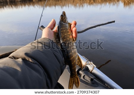 The first pike I caught was small.