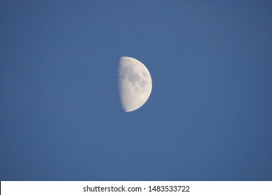 First quarter Waxing Gibbous Moon 