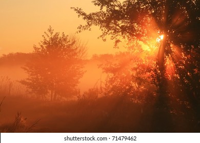 The first rays of the rising sun pass through the fog