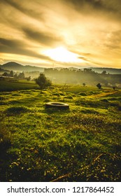 the first rays of the sun