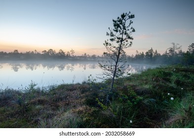 The first rays of the sun in the early morning. Summer landscape of Konnu-Suursoo Bog in Korvemaa, Estonia.