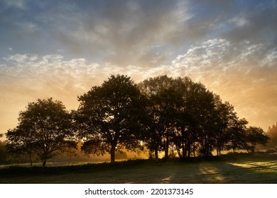 First rays of sun filtering through the trees at sunrise on a cloudy day in the countryside. Long exposure, with the subject moving by the wind.