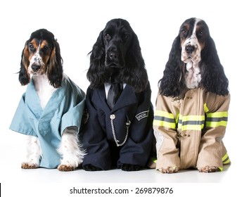 First Responders - English Cocker Spaniels Dressed Up Like A Doctor, Police Officer And A Fire Fighter On White Background