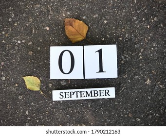 210,205 1 september Images, Stock Photos & Vectors | Shutterstock