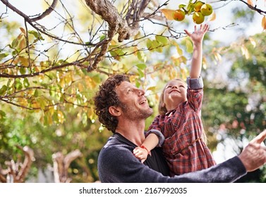 The first signs of autumn. Cropped shot of a little girl and her father in the garden during autumn. - Powered by Shutterstock