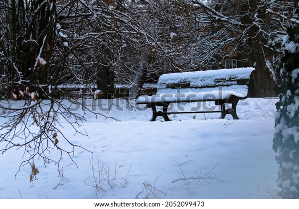 First snow in the city, snow flakes on branches,\
fences and benches