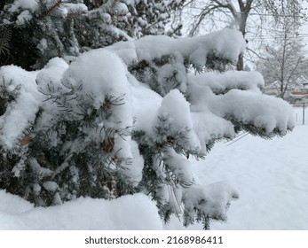 First Snow Fall Of The Season