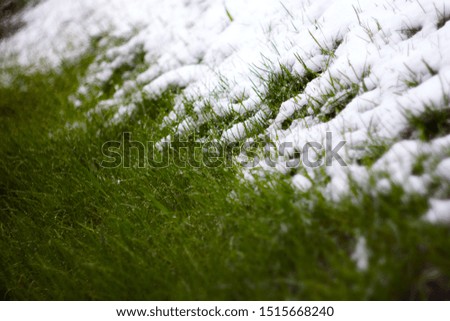 Similar – Image, Stock Photo Winter vs. Spring