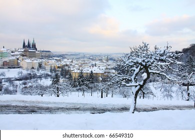 First Snow In Prague, Gothic Castle With Snowy Trees