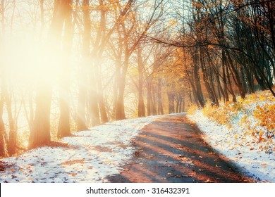 First Snow In The Woods In Lisi.Doroha