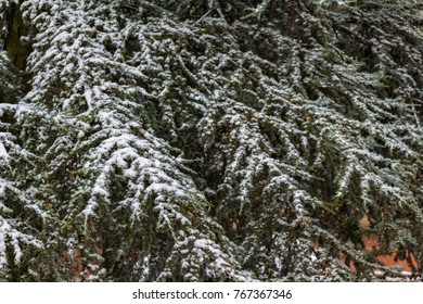 Bilder Stockfotos Und Vektorgrafiken Osnabruck Shutterstock