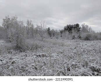 First Snowfall Of The Season