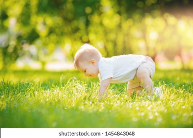 First step baby, Portrait boy crawling stand up in park Sunlight. Concept development, grow up. - Powered by Shutterstock