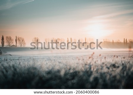 First sunlight on a early cold winter morning with frozen grass landscape and bright foggy glow. Misty winter morning with orange sunrise countryside landscape