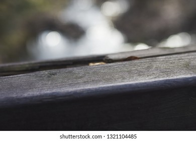 The First Winter Frost Is Already On The Railing. Close-up. In The Forest Background. Winter Is Knocking On The Door. Cold Weather. Period Of Illness And Increased Number Of Injuries.