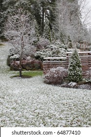 First Winter Snow Has Fallen Into Autumnal Garden