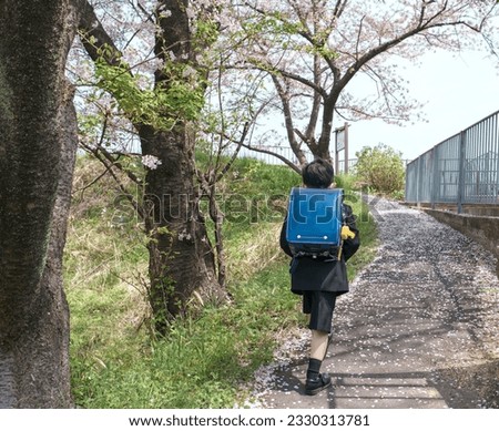 A first-grade boy walking on a cherry blossom-lined path. It's his first journey home after the entrance ceremony.