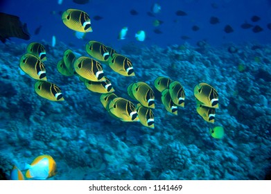 Stock Photo and Image Portfolio by Hiroyuki Saita | Shutterstock