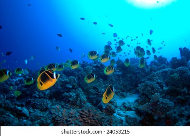 Stock Photo and Image Portfolio by Hiroyuki Saita | Shutterstock