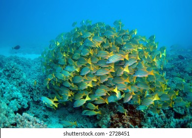 Stock Photo and Image Portfolio by Hiroyuki Saita | Shutterstock