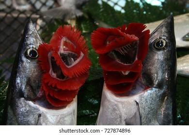 Fish